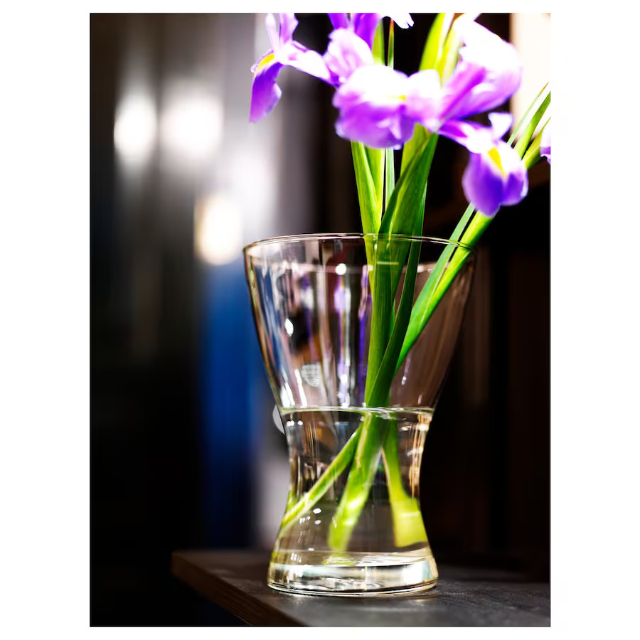 vasen-vaza-bistro-staklo__0122331_pe237856_s5